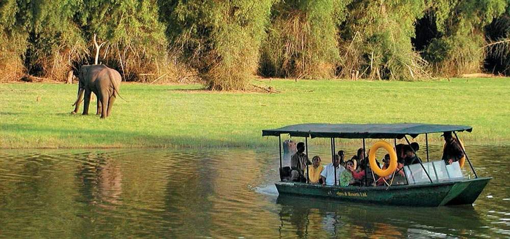 kabini