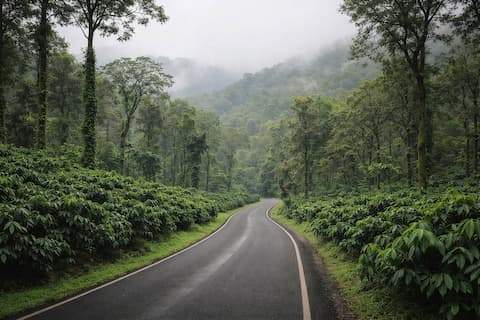 2 Days Bangalore to Coorg Cab Package